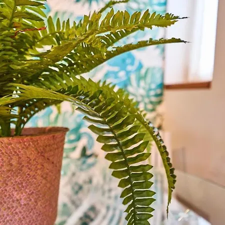 3 Plaza Mayor -prior 5 - At By Victoria * Salamanque