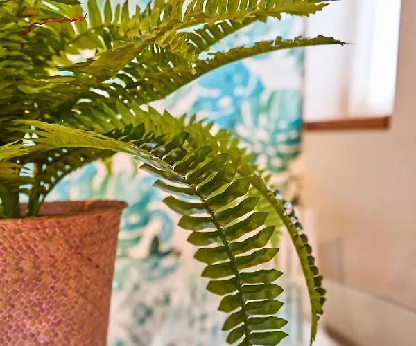 3 Plaza Mayor -prior 5 - At By Victoria * Саламанка